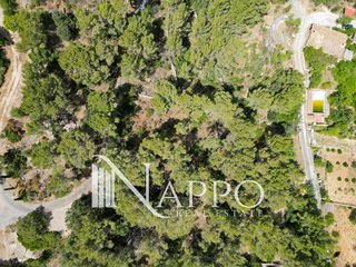 Terreno en venta en Calvià en Calvià