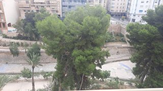 Piso en alquiler en El Pla de Sant Josep - L'Asil en Elche