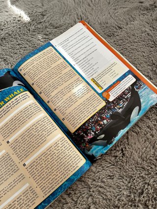 Libro de ingles Burlington C1 Second Edition