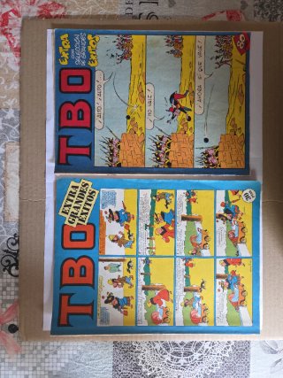 Lote de 18 TBO.