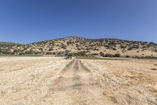 Terreno en venta en Montefrío