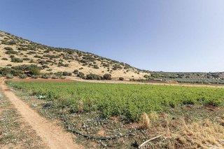 Terreno en venta en Montefrío