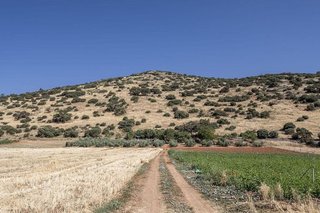 Terreno en venta en Montefrío