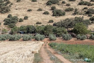 Terreno en venta en Montefrío