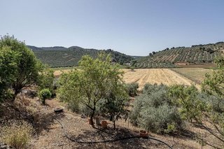 Terreno en venta en Montefrío