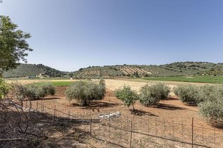 Terreno en venta en Montefrío