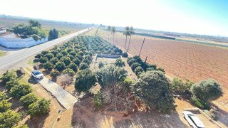 Casa rural en venta en Guadassuar