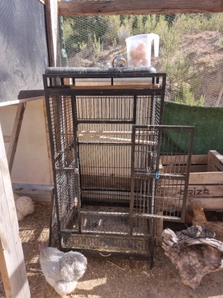 Jaula para loro grande