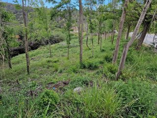 Terreno en venta en Sant Feliu de Codines
