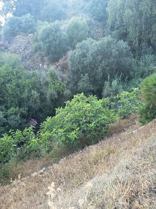Terreno en venta en Valtocado - La Alquería - La Atalaya en Mijas