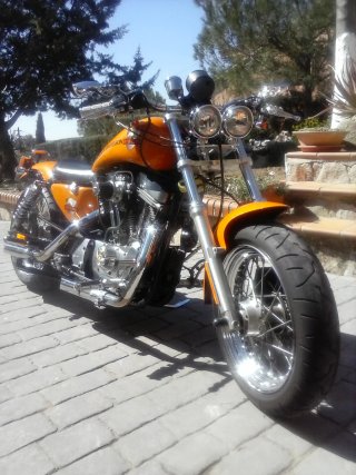 Harley Davidson Sporter 883 Custom Naranja 2005
