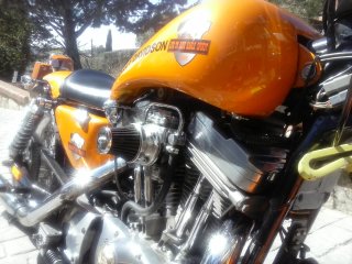 Harley Davidson Sporter 883 Custom Naranja 2005
