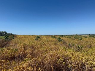 Terreno en venta en Rociana del Condado