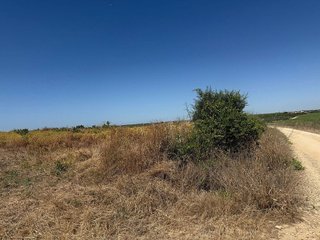 Terreno en venta en Rociana del Condado