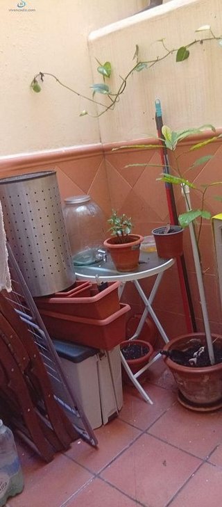 Piso en venta en Mentidero - Teatro Falla - Alameda en Cádiz