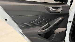 Ford Focus 1.5 Ecoblue Trend 120 CV 2020. DIESEL