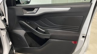 Ford Focus 1.5 Ecoblue Trend 120 CV 2020. DIESEL