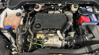 Ford Focus 1.5 Ecoblue Trend 120 CV 2020. DIESEL