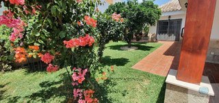 Chalet en alquiler en Campo de Mijas en Mijas