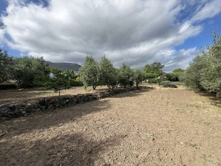 Terreno en venta en Alforja
