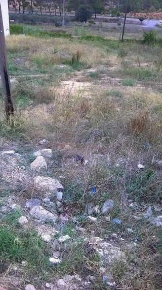 Terreno en venta en Centro en Chiva