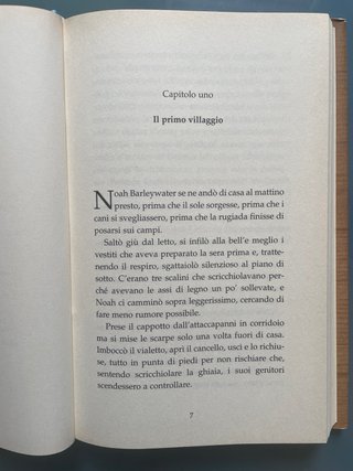 Il bambino con il cuore di legno