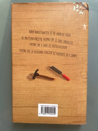 Il bambino con il cuore di legno