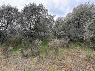 Terreno en venta en Guadarrama