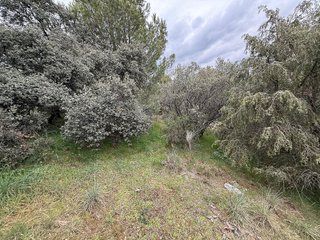 Terreno en venta en Guadarrama