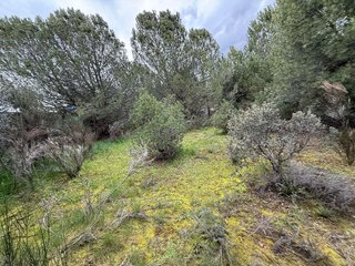 Terreno en venta en Guadarrama