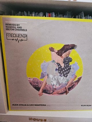 Lote 8 Vinilos Techno / Tech House Nuevos
