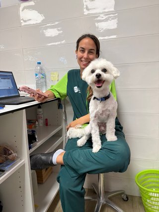 Paseadora de perros