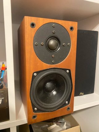 Altavoces mini monitores AVI nu neutron
