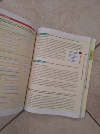 Il nuovo Parola chiave. La grammatica. Con Le r...