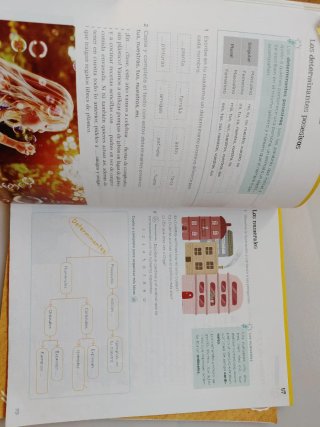 Lengua 3 Primaria : Operación Mundo