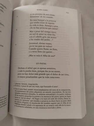 Poesía española