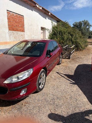 Peugeot 407 2006