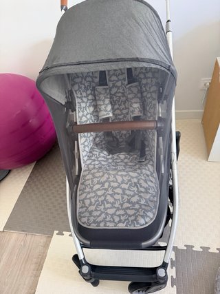 Cochecito UPPAbaby Cruz V2 + Accesorios