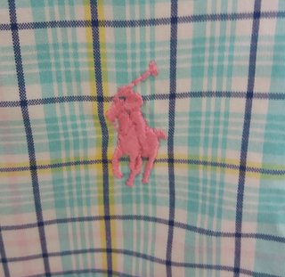 Lote 2 Camisas 1 Polo Ralph Lauren y 1 Gant