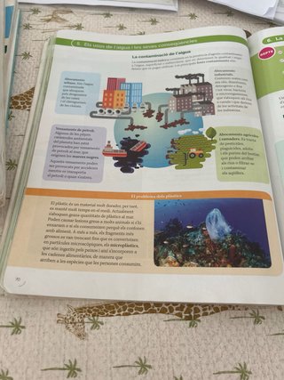 BIOLOGIA I GEOLOGIA 1 SEC CONSTRUINT MONS