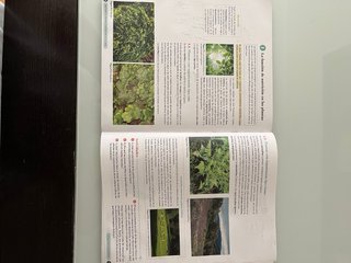 Biología, Geología y CC. Ambientales 1º Bachill...