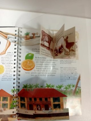 Libro interactivo Piratas