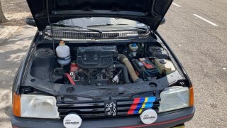 Peugeot 205 1991