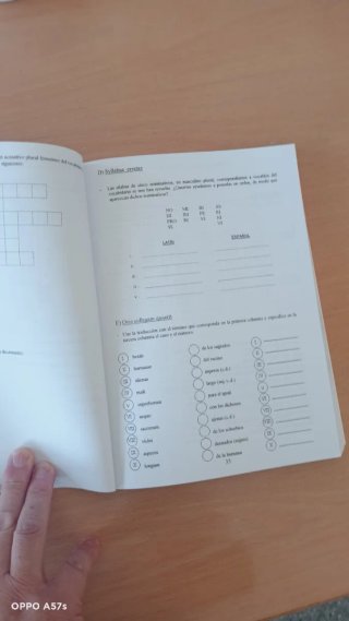 Jugando a Latín - Libro de pasatiempos