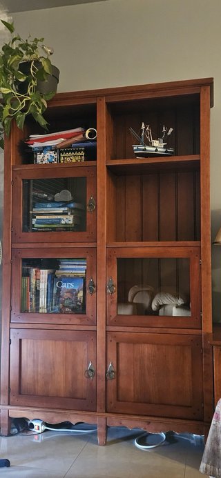 Librería de madera y cristal
