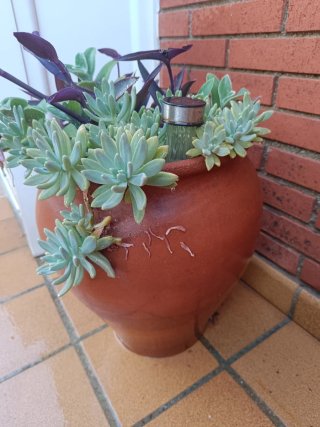 Ánforas de terracota para jardín.
