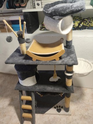 Casa para gatos de varios niveles