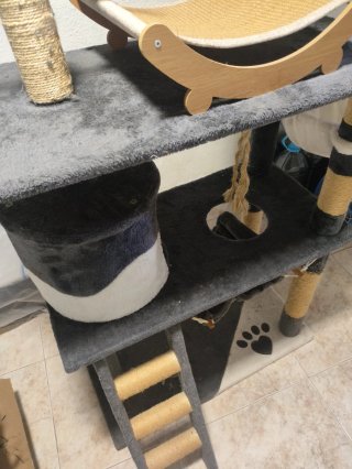 Casa para gatos de varios niveles