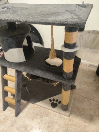 Casa para gatos de varios niveles