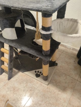 Casa para gatos de varios niveles